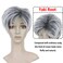 BECUS Short Gray Wigs with Bangs Sliver Gray Wigs Pixie Cut Layered for Women Synthetic with Free Wig Cap(Grey Mix Black)