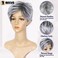 BECUS Gray Wigs for Women Grey Wig for Black Women Sliver Grey Wigs for White Women Pixie Cut Layered for Women Synthetic with Free Wig Cap(Grey Mix Black)