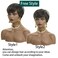 Short Pixie Cut Wigs for Black Women Short Wig Ombre Grey Mixed Black Pixie Wigs Grey Pixie Cut Wigs Salt and Pepper Wigs for Black Women (Grey Mixed Black)