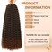 2 Packs Passion Twist Hair 18 Inch Passion Twist Crochet Hair For Black Women Water Wave Crochet Braiding Hair Extensions (18 Inch, 1B/30)