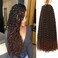 2 Packs Passion Twist Hair 18 Inch Passion Twist Crochet Hair For Black Women Water Wave Crochet Braiding Hair Extensions (18 Inch, 1B/30)