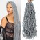 Soft Locs Crochet Hair 24Inch 2 Packs Faux Locs Crochet Hair Pre Looped Natral Grey Color Synthetic Hair Extension for Women (24Inch, 2Packs Grey) &hellip;