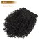 ABH AMAZINGBEAUTY HAIR Curly Clip in Hair Extensions Black Women Spiral Curl Human Hair Clip in Extensions Double Weft Curly Hair Clip in Extensions Natural Black Virgin Hair 7Pcs 120G 14 Inch