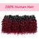 Curly Human hair Bundles Kinky Curly Bundles Human Hair Bundles Curly Human hair 4 Bundles 1B/99J Brazilian Virgin Human Hair 50 Gram/Bundle (8 8 8 8, 1B 99J)