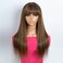 Rebecca Fashion 20 Inch Ombre Blonde Brown Straight Wig with Bangs Human Hair Silky Straight Bang Wig Glueless Minimalist 2.75x1 Lace Scalp Wig for Women Glueless Wear and Go Wigs Brazilian Remy Hair