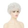 White Short Wigs Womens Curly Wig with Bangs Old Woman Pixie Cut Hair Wig for Cosplay Daily Use