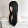 Natural Black Long Straight Fringe Bangs, Heat Resistance Synthetic Wigs for Women 24 Inch