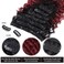 Synthetic Curly Clip in Hair Extensions Double Weft Full Head Deep Wave Hair Pieces Heat Resistance Thick Ombre Two Tone Clip In 7 Pieces(24" Deep Wave, T1B-Burg)