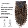 Synthetic Curly Clip in Hair Extensions Double Weft Full Head Deep Wave Hair Pieces Heat Resistance Thick Ombre Two Tone Deep Wave Clip In 7 Pieces(24" Deep Wave, P1B-2)