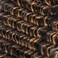 Synthetic Curly Clip in Hair Extensions Double Weft Full Head Deep Wave Hair Pieces Heat Resistance Thick Ombre Two Tone Deep Wave Clip In 7 Pieces(24" Deep Wave, P1B-2)