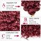 8 Packs Curly Crochet Hair GoGo Curl Crochet hair for Women Deep Wave Braiding hair,Synthetic Bohemian Crochet Braid Water Wave Crochet hair Extensions (Red, 18inch)