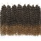 YXCHERISHAIR 8 Packs Curly Crochet Hair GoGo Curl Crochet hair for Black Women Deep Wave Braiding hair,Synthetic Bohemian Crochet Braid Water Wave Crochet hair Extensions (1B/27, 24inch)