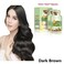 Magic Bubble Plant Hair Dye, Pure Plant Extract for Grey Hair Color Bubble Dye Shampoo, Non-Damage. (Dark Brown)