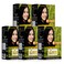 Natural Herbal Hair Dye Powder   Apply for Dry Hair  100% Organic Henna Black Dye Hair Color Boost Shine and Hair Growth - 60 gm (Pack of 5) - Black