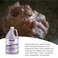 Sanit Antibacterial Foaming Hand Soap Refill - Advanced Formula with Aloe Vera and Moisturizers - All-Natural Moisturizing Hand Wash - Made in USA, Lavender, 1 Gallon