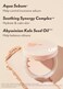 I'M MEME Compact - Skin Fit Tone Up Pact   FLawless Finish with Aqua Sebum, Soft &amp; Velvet Pressed Powder Compact, Smooth Pores &amp; Fine Lines, Korean Makeup, Translucent, Oily Skin, 0.35 Oz