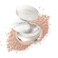 AMIIR Loose Setting Powder Makeup for Face - Talc-Free, Mattifying, Translucent Finish, Oil Control, Crease-Resistant, Perfect for Makeup Setting &amp; Smoothing Pores on Oily Skin (#02 True Nude)