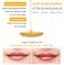 PETITFEE Lip Oil Super Seed   0.10 Oz   Glass Lip, Healthy Lip Care, Moisturizing Lip Oil with Honey, Propolis, Herbal Oil, Glowy, Revitalizing, Calming Lip, Non-sticky, Non-artificial Colors