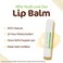Mamaearth Nourishing 100% Natural Lip Balm with Vitamin E and Shea Butter - 4 g   12-Hour Moisturization   Makes Lips Soft &amp; Supple