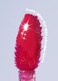 COLORGRAM Fruity Glass Tint Pearl Gloss   Long Lasting &amp; Waterproof Lip Stain   Glossy Transparent Dewy Lip Gloss with subtle Pink Glitter, Buildable &amp; Blendable for Glowing, Sparkling effect 0.11 Oz.