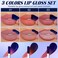 3 Colors Matte Peel Off Lip Liner Stain Set, Moisturizing Tattoo Magic Color Lip Gloss with Bottle, High Pigmented Long Lasting Liquid Lipstick, Waterproof Nude Red Lip Makeup, 01+02+03