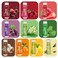 10 Pack Natural Lip Balm Bulk with Vitamin E and Coconut Oil - Moisturizing, Sootand cracked Lips, Mini Chap Stick Gifts for Kids Women Men- 10 Flavors - Non-GMO