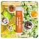 10 Pack Natural Lip Balm Bulk with Vitamin E and Coconut Oil - Moisturizing, Sootand cracked Lips, Mini Chap Stick Gifts for Kids Women Men- 10 Flavors - Non-GMO