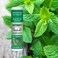 Montana Emu Ranch - Lip Therapy Lip Balm - 0.25 Ounce - Peppermint Flavor - 3 Pack - Made with Pure Emu Oil