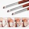 1 Pc Nail Brushes for Nail Art Professional Nail Art Brush/Manicure Gel Polish Brush/Gradual Color Blooming Nail Drawing Pen Nail Design Brushes (A)