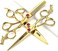 6/7 inch Professional Hair Cutting Scissors Set Hair Cutting Scissors Thinning Teeth Shears Set,Sliver Scissors,Barber,Salon,Hairdressing Scissors Kit,Japanese 440C Scissors (6-inch 3pc-B)