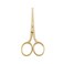 LIVINGO Professional Nose Hair Scissors, Multi-purpose Stainless Steel Rounded Tip Straight Blade, Facial Hair Beard Eyebrows Ear Trimming Beauty Grooming Tool for Men &amp; Women, 3.5&rdquo; Gold