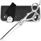 Professional Hair Scissors with CNC Tech, 6.5" Hair Cutting Scissors, Extremely Sharp Convex Blade Barber Shears, 440C Steel Haircut Scissor with Adjuster Leather Case for Women Men Kids Salon Home