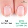 Maccibelle Cuticle Oil For Nails Refill size for Dry Cracked Cuticles (4 Ounce, Pineapple)