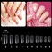 Nail Art Training Practice Hand Bendable Silicone Fake Hand and 500 Pieces False Nails for Nail Art Training Display (Transparent Nails)