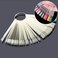 100 Pieces Nail Art Polish Display Practice Stick with Metal Split Ring Holder - Fan Shape Finger Clipper Nail Art Tips Display Swatches Nail Polish Color Board Card Plates Practice Templates