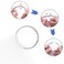 SIUSIO 250 Pcs Oval Nail Swatch Sticks with Metal Split Ring and Numbered Tips - Clear Fan-shaped Color Display for Nail Art Polish Practice