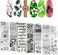 WOKOTO 6Pcs Flower Nail Stamping Plates For Nails Mix Size Image Spring Summer Flowers Leaves Nail Templates Nail Stencils For Nails Art Stamping Kit Nail Stamp Plates Set Printing Tools For Nail Art
