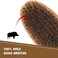 Boar Bristle Hair Beard Brush for Men - Small Soft Beard Brush, Pocket Travel Men's Wooden Mustache Brush
