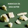 SheaMoisture Beard Wash for a Full Beard Maracuja Oil &amp; Shea Butter to Deep Clean and Refresh Beards 6 oz &amp; Full Beard Detangler for Full Beards Maracuja Oil and Shea Butter