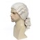 Regency Wig Colonial Judge Wig, Long Wave Wig for Man, Washington Halloween Costume, Cosplay Wig (Beige)