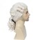 Regency Wig Colonial Judge Wig, Long Wave Wig for Man, Washington Halloween Costume, Cosplay Wig (Beige)