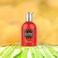 Paris Corner BATIKH Watermelon Perfume EDP 1.7 FL Oz Unisex EDP Fresh Scent