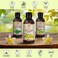 AROMATIKA St Johns Wort Oil 8.5 Fl Oz (250ml) - Hypericum Perforatum - 100% Pure &amp; Natural - St. John's Wort Oil for Intensive Care Face - Body - Skin - Hair - Massage - Great w/Essential Oil
