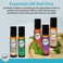 Wild Essentials Palo Santo Essential Oil Roll On, 10ml, Cleansing, Purifying, Relaxing, 100% Pure, Premium Grade Essential Oils, Organic Jojoba Oil, Ready to Use, Moisturizer, All Natural