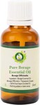 R V Essential Pure Borage Essential Oil 15ml (0.507oz)- Borago Officinalis (100% Pure and Natural Therapeutic Grade)