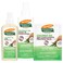 Palmer's Coconut Oil Formula Moisture Boost Hair bundle (Scalp Oil &amp; Leave-In Conditioner)