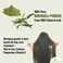 Organic Bhringraj Powder for Hair Growth (1.1 lb - 17 oz) Eclipta Alba for Hair Growth - False Daisy Herb Bhringraj - Karisalankanni Eclipta Prostrata (500g)