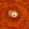 Gift Republic Whiskey Scented Bath Bombs