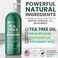 Tea Tree Oil Body Wash MaxTherapy   Antibacterial &amp; Antifungal Defense for Athlete&rsquo;s Foot, Ringworm, Body Odors &amp; Acne, Soothing Relief for Sensitive, Dry, Itchy Skin (16 fl oz, 2-Pack)