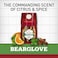 Body Wash for Men by Old Spice, Wild Collection Men's Body Wash, Bearglove, 16 Fl Oz (Pack of 4)